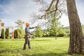 Best Stump Grinding and Removal  in New Berlin, IL