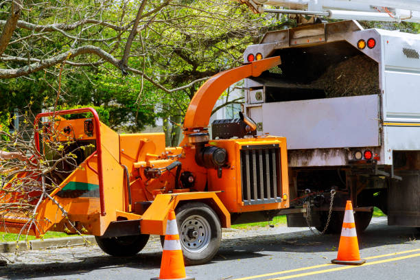 Professional Tree Services in New Berlin, IL